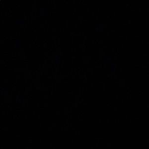 Meet your Posher, Luis